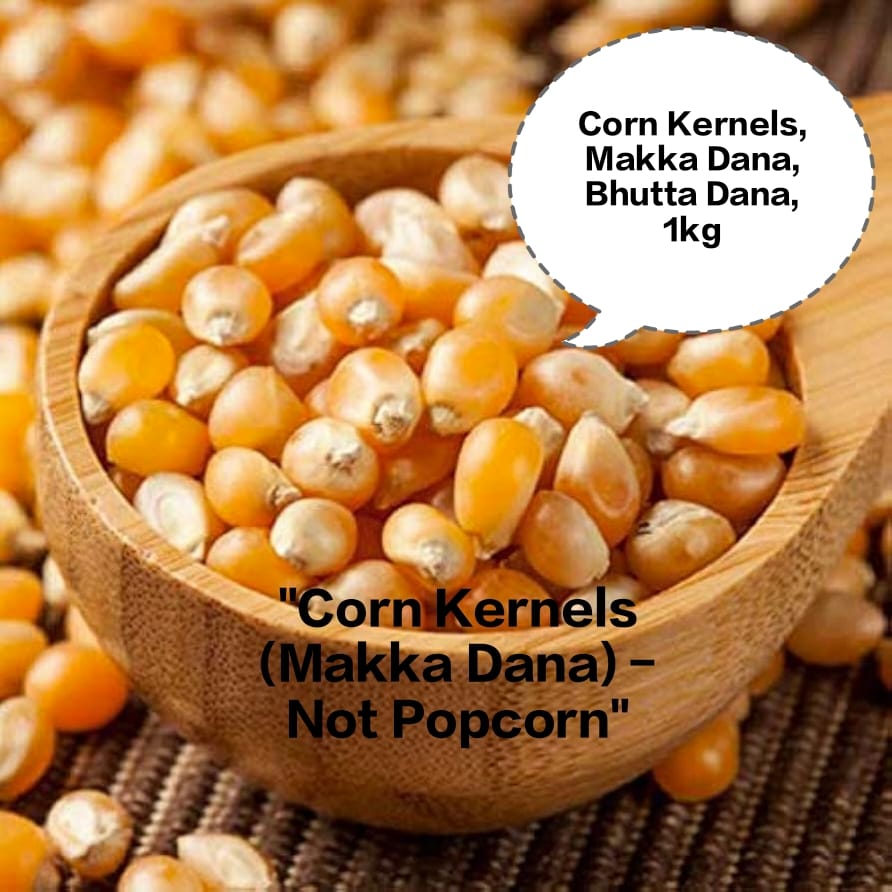 Corn Kernels, Makka Dana, Bhutta Dana, Maize Kernels, Dry Corn Seeds 1kg