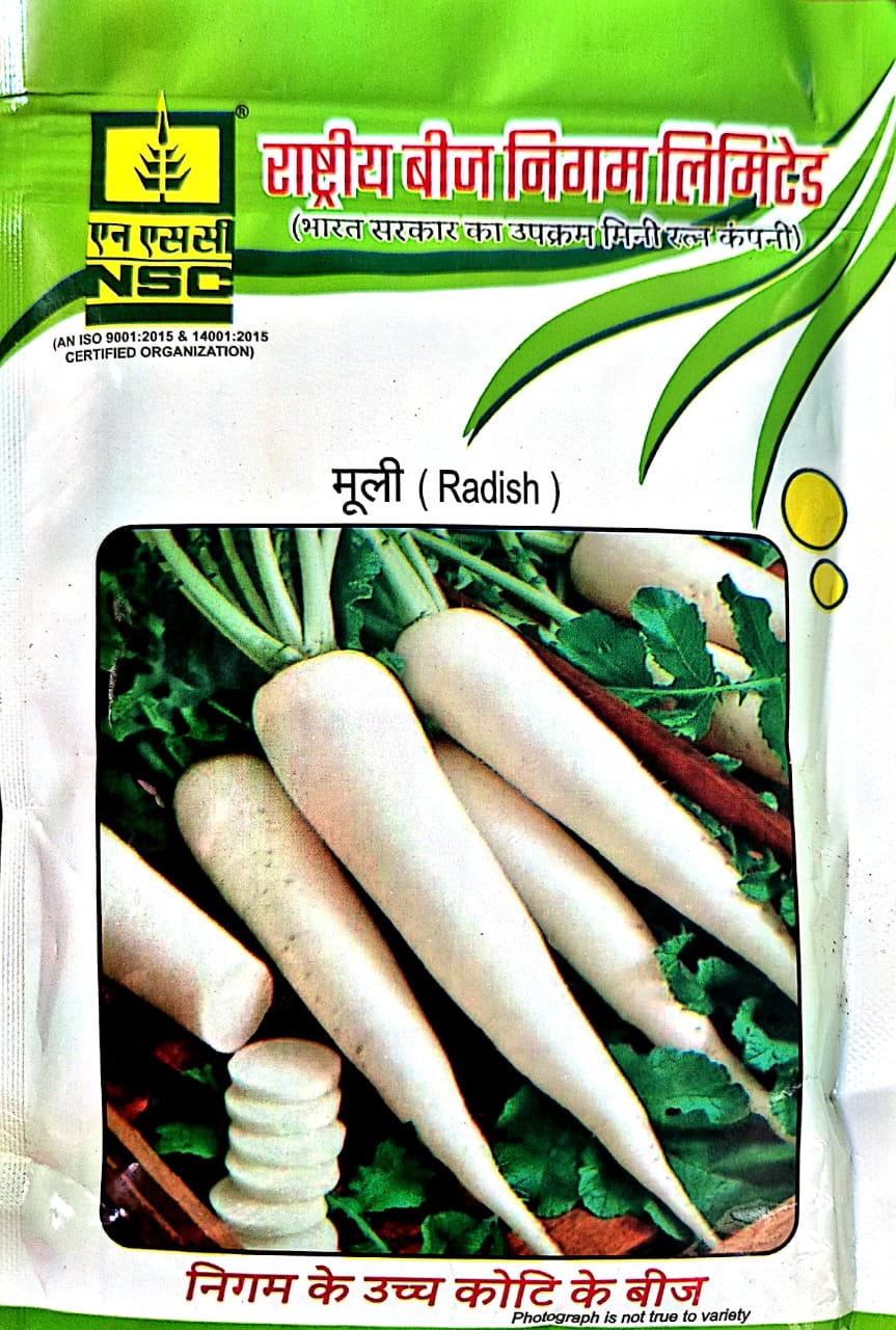 NSC-RADISH/J.W-100 GMS SEEDS