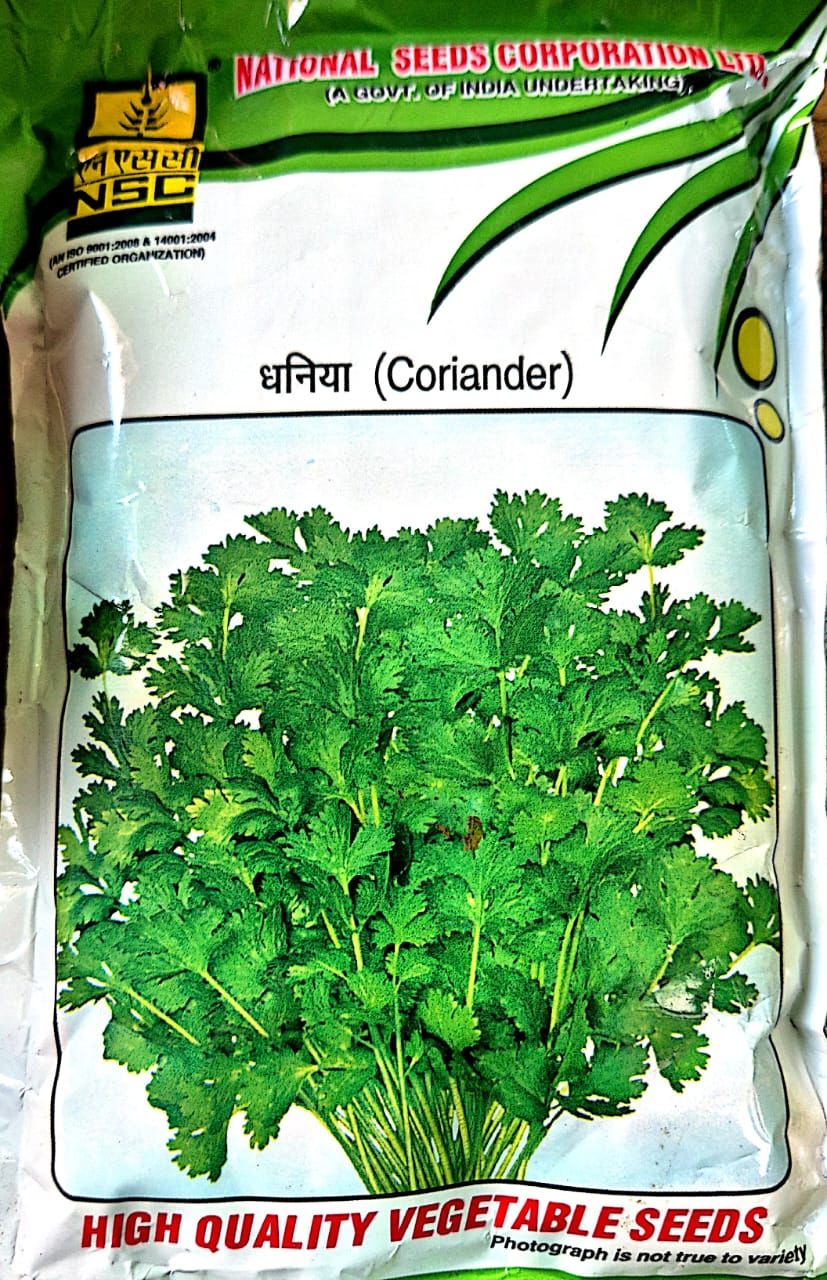 NSC-CORIANDER/ACR-1-100 GMS SEEDS