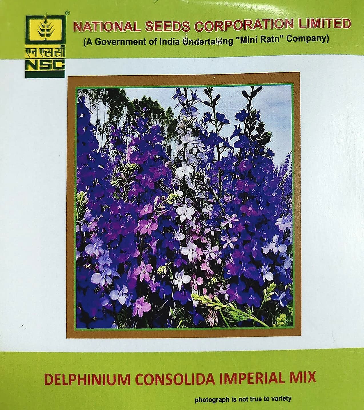 NSC Delphinium Consolida Imperial Mix Flower Seed