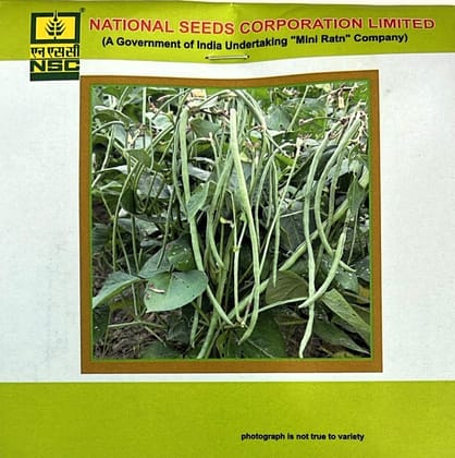 Cowpea Variety - Kashi Nidhi Truthful Label (TL) Seed (Two Packets of 20 gram Each)