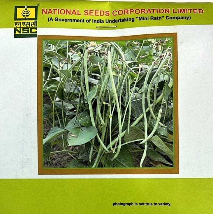 Cowpea Variety - Kashi Nidhi Truthful Label (TL) Seed (Two Packets of 20 gram Each)