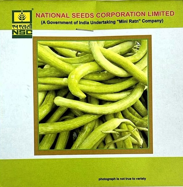 Long Melon Gourd Variety - Santusti Truthful Label (TL) Seed - (Two Packets of 5 Gram each)