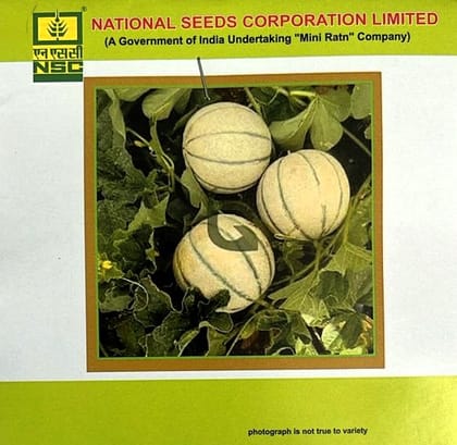 NSC Musk Melon Variety - Kashi Madhu Truthful Label (TL) Seed - 5 Gram Packet