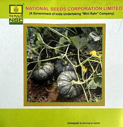 Pumpkin Variety - Kashi Harit Truthful Label (TL) Seed (Two Packets of 5 gm each)