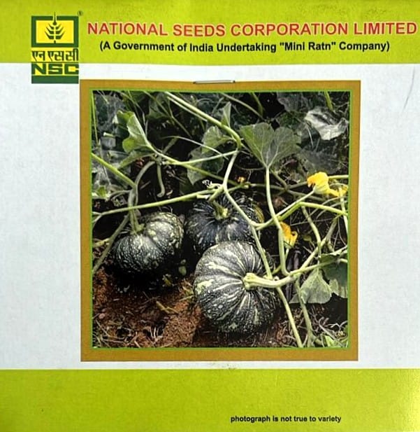 Pumpkin Variety - Kashi Harit Truthful Label (TL) Seed (Two Packets of 5 gm each)