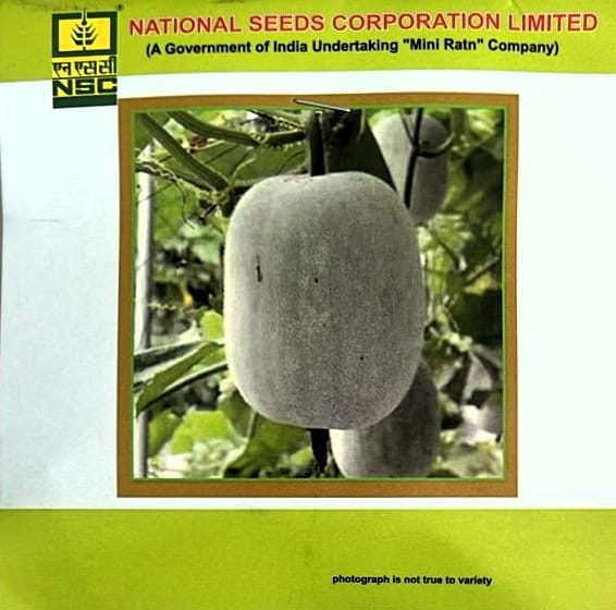Ash Gourd Variety - Kashi Dhawal Truthful Label (TL) Seed - (Two Packets of 5 Gram Each)