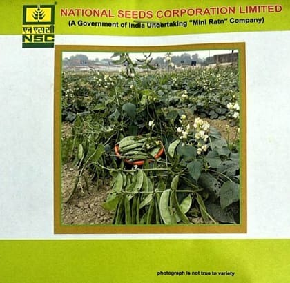 Sem Variety - Kashi Bauni Truthful Label (TL) Seed (Two Packets of 20 Gram Each)