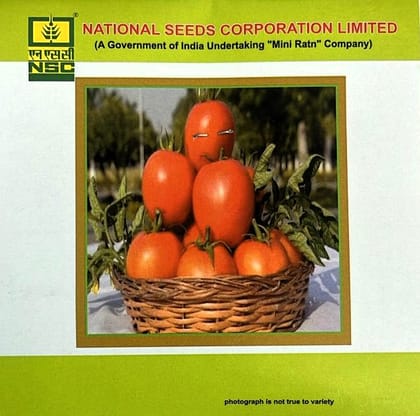 Tomato Variety - Kashi Aman Truthful Label (TL) Seed (5 Gram Packet)