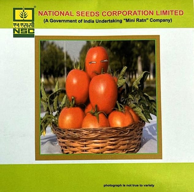 Tomato Variety - Kashi Aman Truthful Label (TL) Seed (5 Gram Packet)