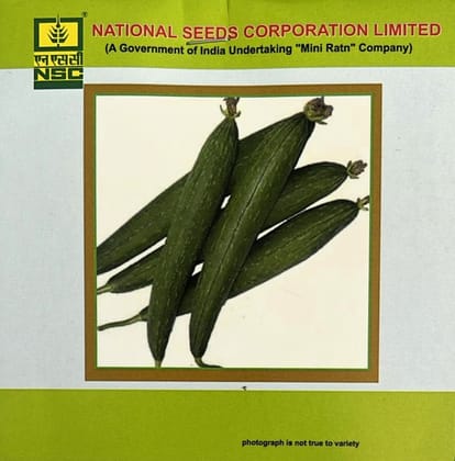 Sponge Gourd Variety - Kashi Jyoti Truthful Label (TL) Seed (Two Packets of 5 Gram Each)