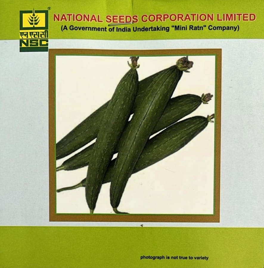 Sponge Gourd Variety - Kashi Jyoti Truthful Label (TL) Seed (Two Packets of 5 Gram Each)