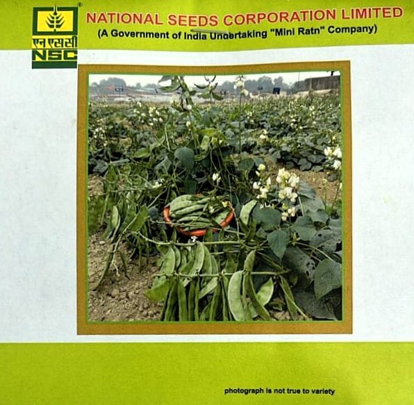 Sem Variety - Kashi Bauni Truthful Label (TL) Seed (Two Packets of 20 Gram Each)