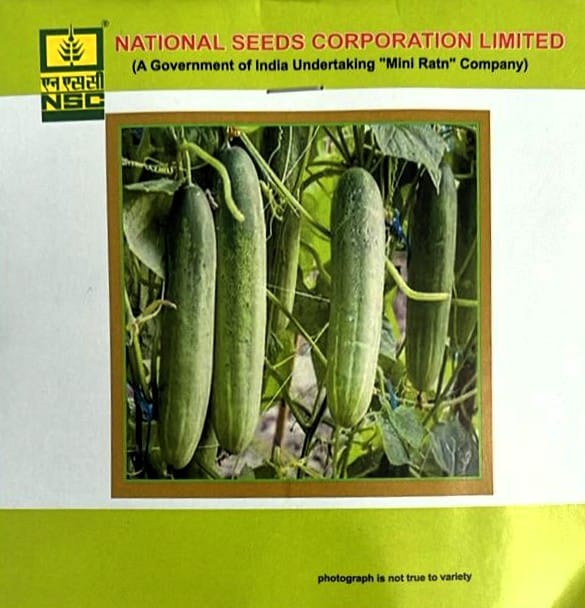Cucumber Variety - Kashi Nutan Truthful Label (TL) Seed - 5 Gram Packet