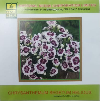 NSC NASTURTIUM , CHRYSANTHEMUM FLOWER SEEDS 2 PKT