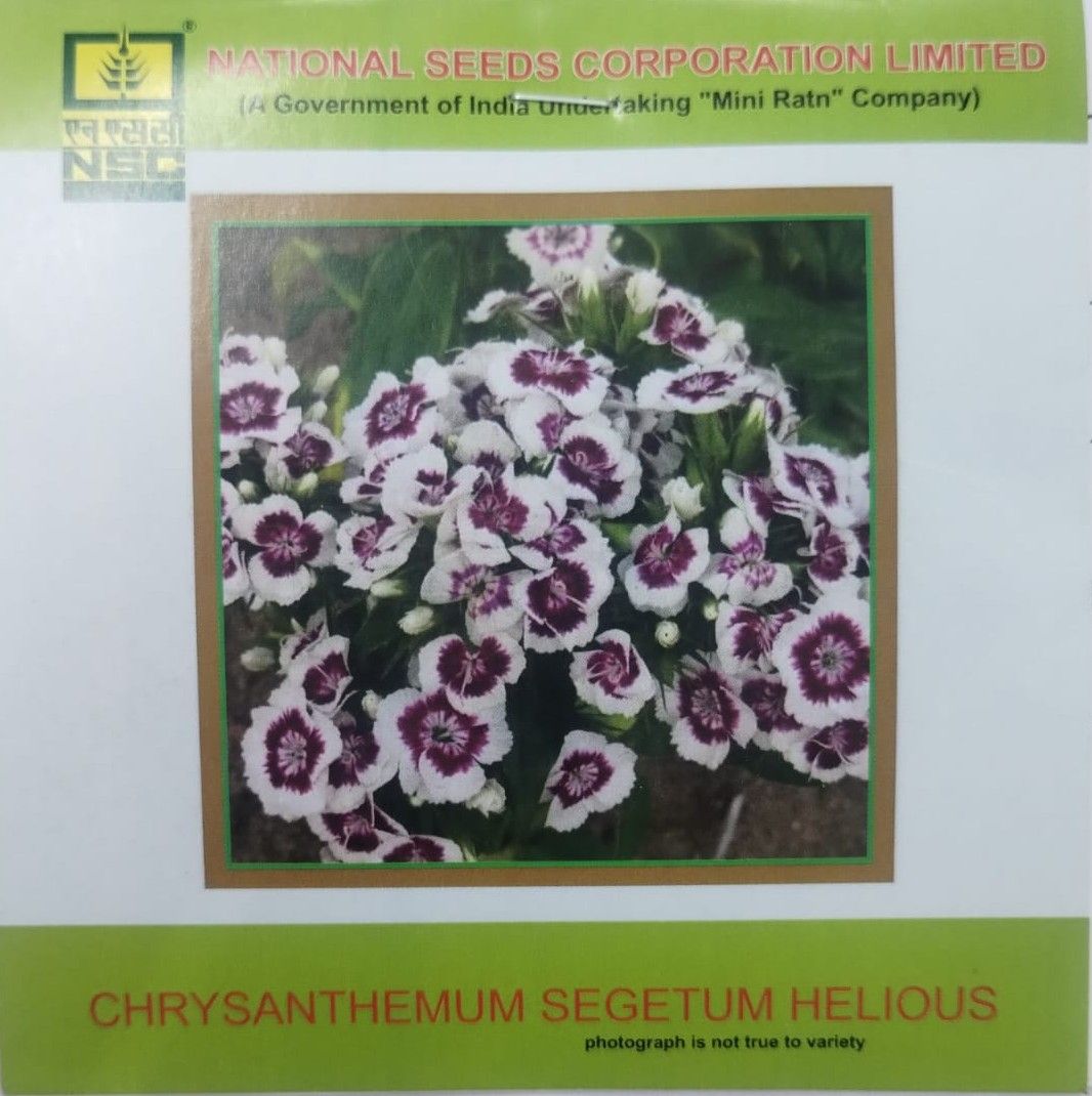 NSC NASTURTIUM , CHRYSANTHEMUM FLOWER SEEDS 2 PKT