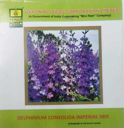 NSC SALVIA, DELPHINIUM FLOWER SEEDS 2 PKT