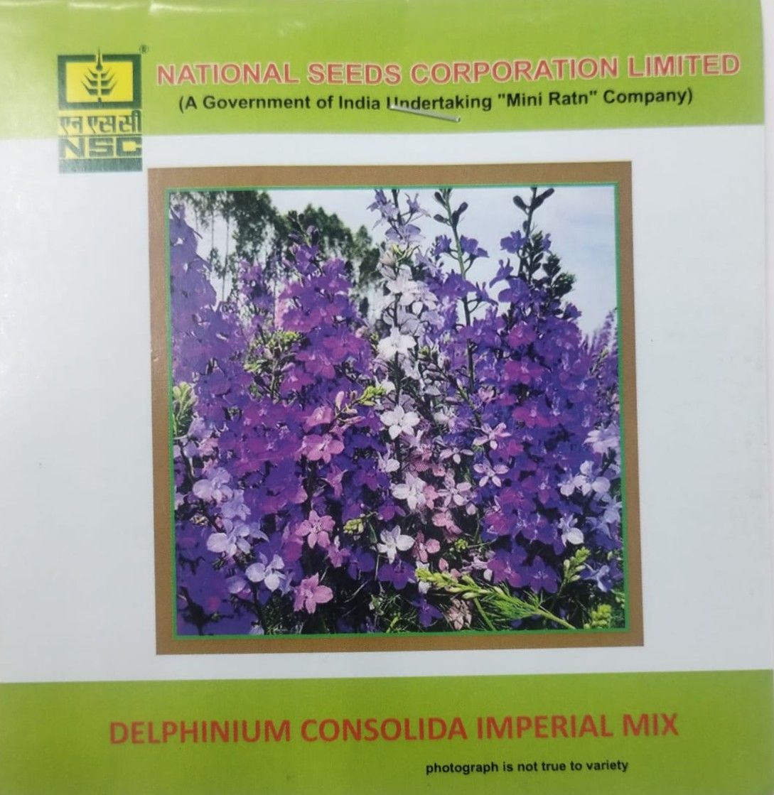 NSC SALVIA, DELPHINIUM FLOWER SEEDS 2 PKT