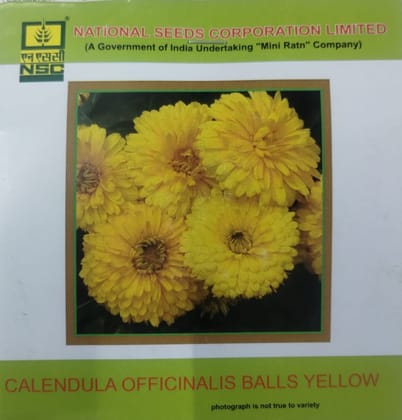 NSC CALENDULA YELLOW & BALL YELLOW 2 PKT FLOWER SEED