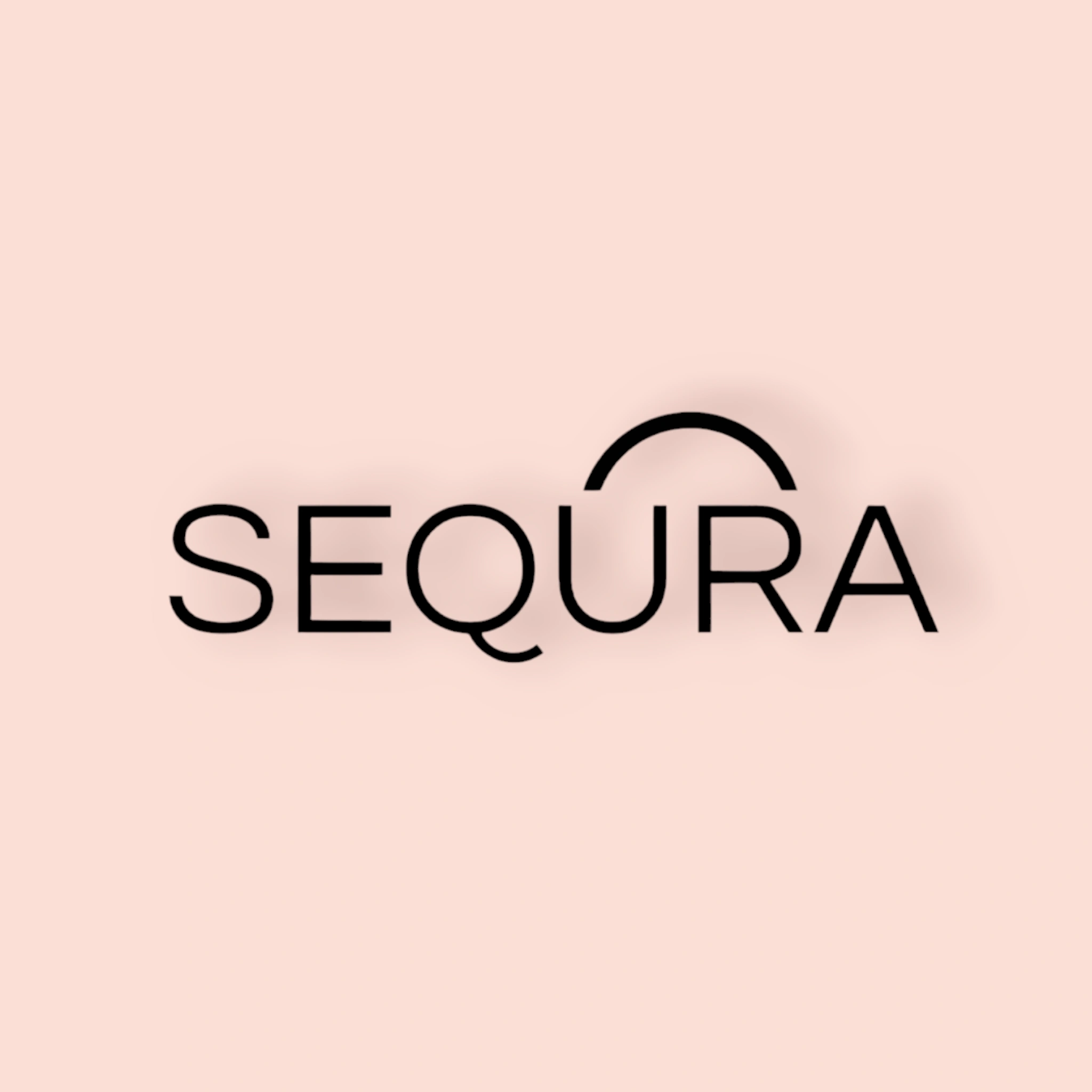 Sequra Enterprises Sequra Enterprises