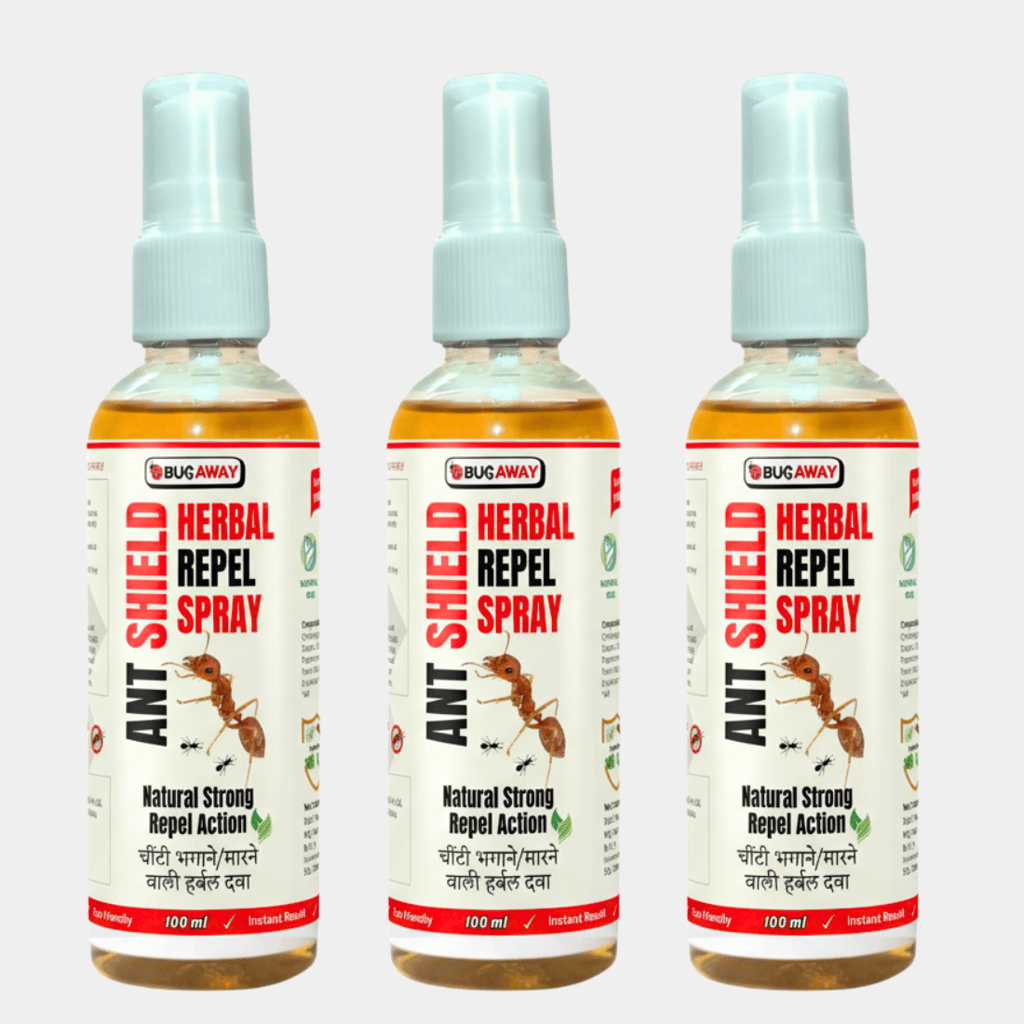 Ant Shield Organic Ant Killer and Repellent Spray 100ml Pack of 3 - Fresheners and Repellents | Buy online on ZillyBuy
