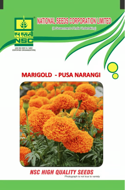 NSC Marigold Pusa Narangi- 10 gram pack