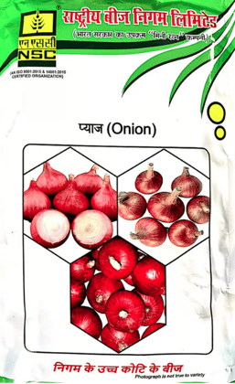 NSC-ONION/AFDR-1KG SEEDS