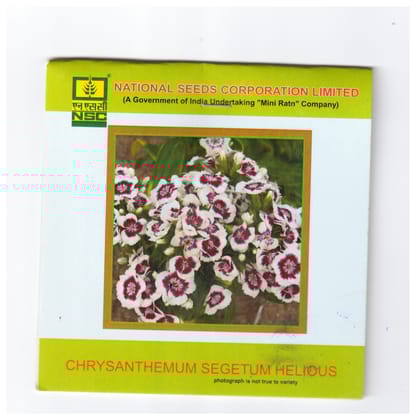 NSC Chrysanthemum segetum helious