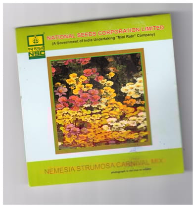 NSC Nemesia strumosa carnival mix