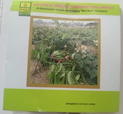 NSC Sem, Kashi Bauni 207, 20 Gram Truthfully Labelled Seed Pouch