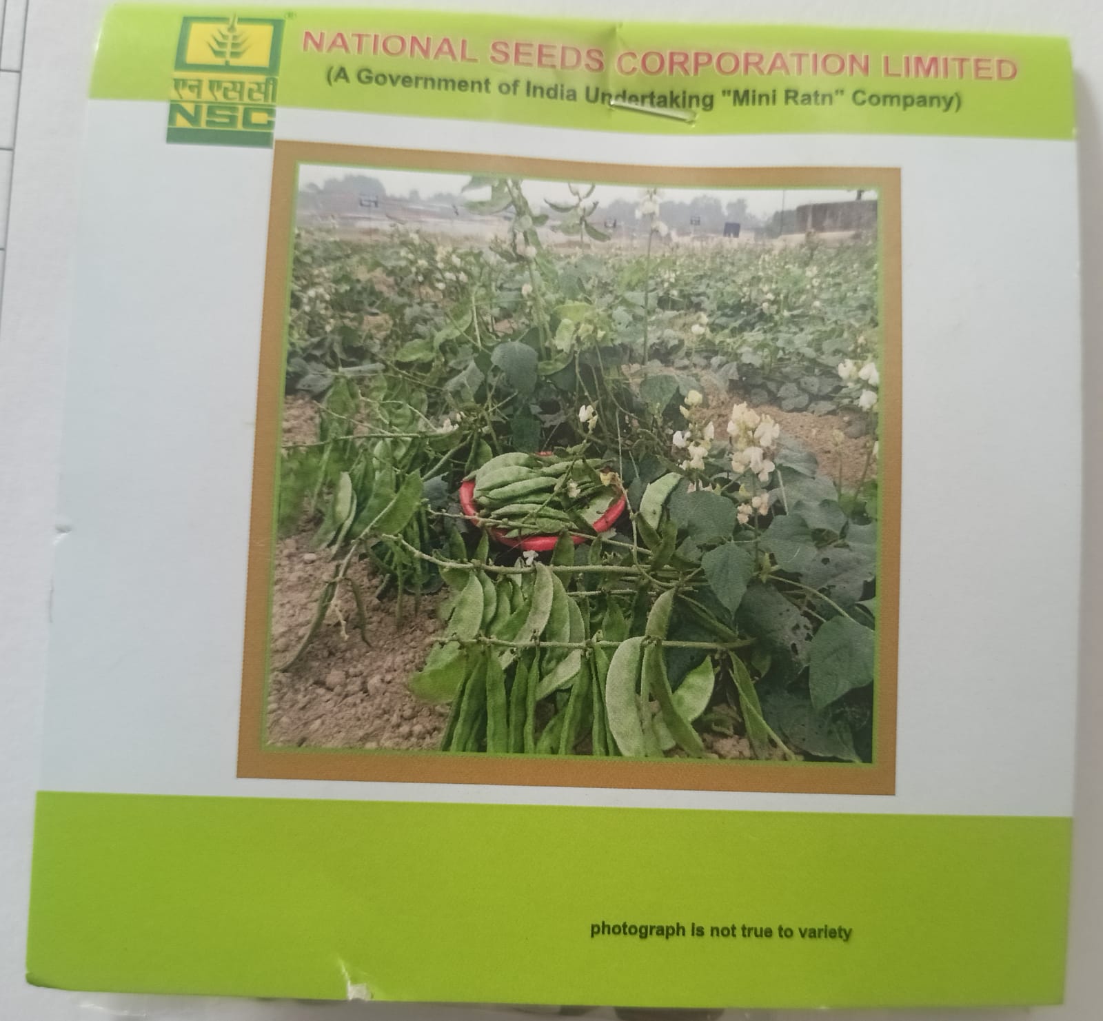 NSC Sem, Kashi Bauni 207, 20 Gram Truthfully Labelled Seed Pouch