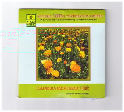 NSC Calendula Pacific beauty Mix