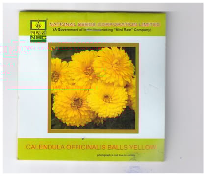 NSC Calendula officinalis balls