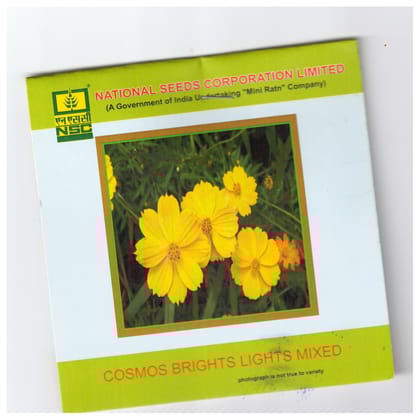 NSC Cosmos Bright light mixed