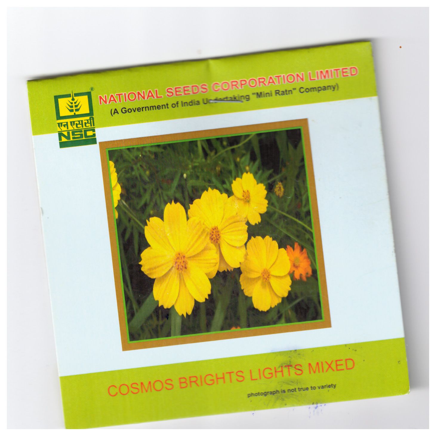 NSC Cosmos Bright light mixed