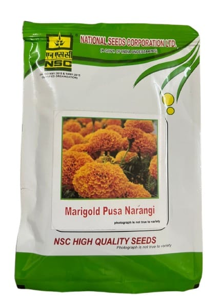 NSC Marigold Pusa Narangi High Quality Flower Seeds