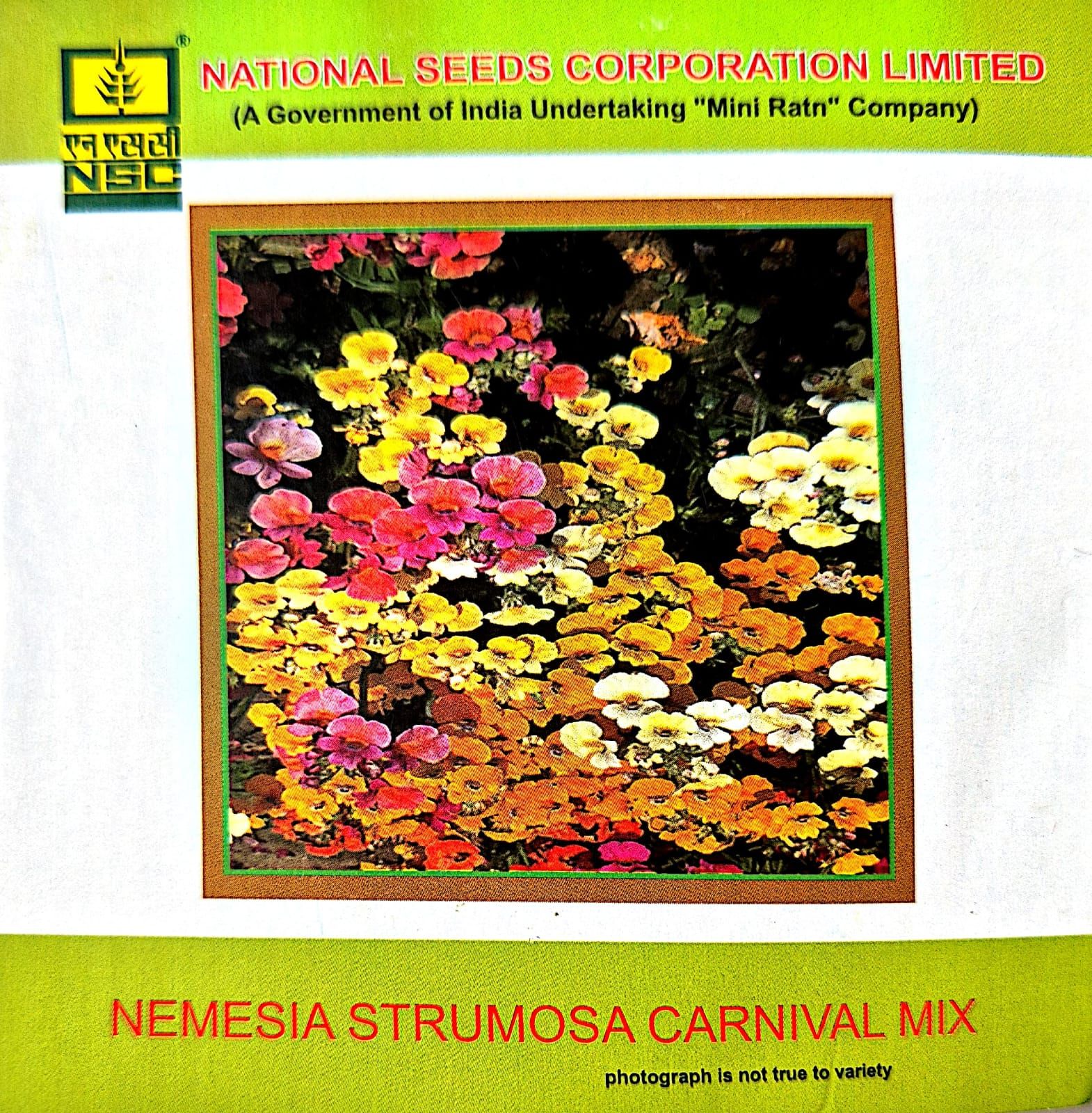 Nemesia Strumosa Carnival Mix-3 gms
