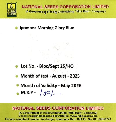 NSC Ipomoea Moring Glory Blue