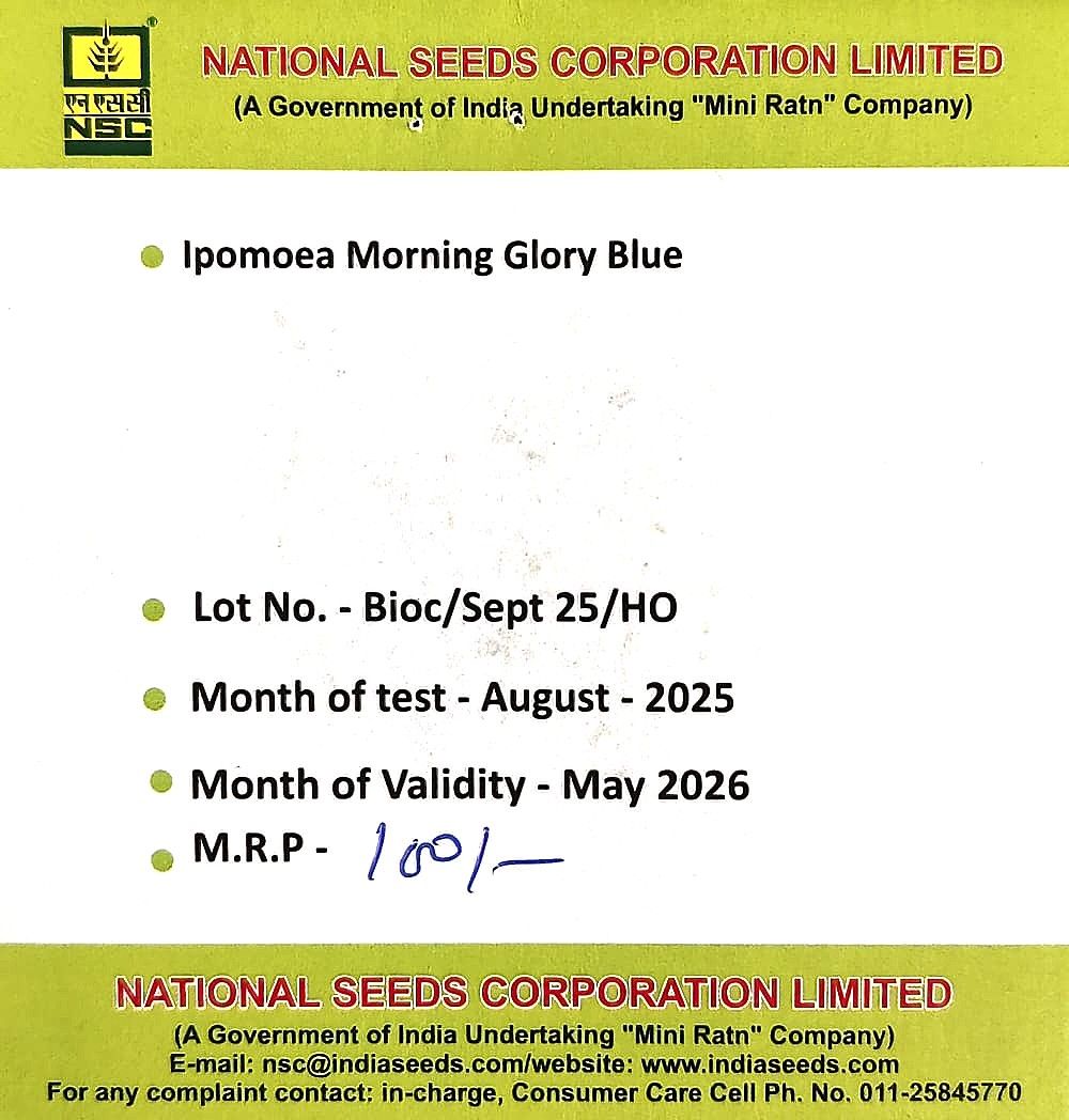 NSC Ipomoea Moring Glory Blue