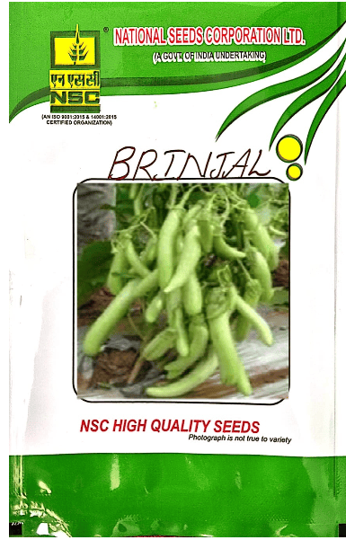 NSC-BRINJAL/ARKA KUSUMAKAR-10 GMS SEEDS