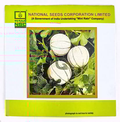 NSC MUSK MELON VARIETY - KASHI MADHU HIGH-QUALITY T/L SEEDS - 5 GMS POUCH