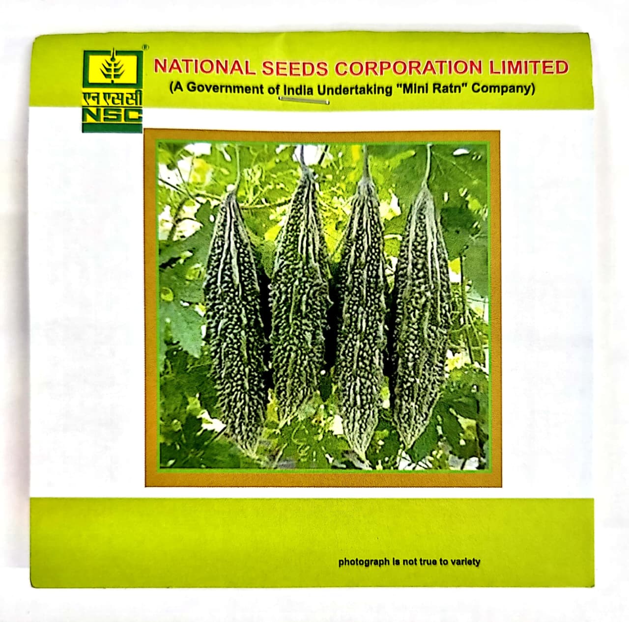NSC Bitter Gourd Seeds – Kashi Pratishṭha Variety | High-Quality Treated Seeds | 5 g Pouch