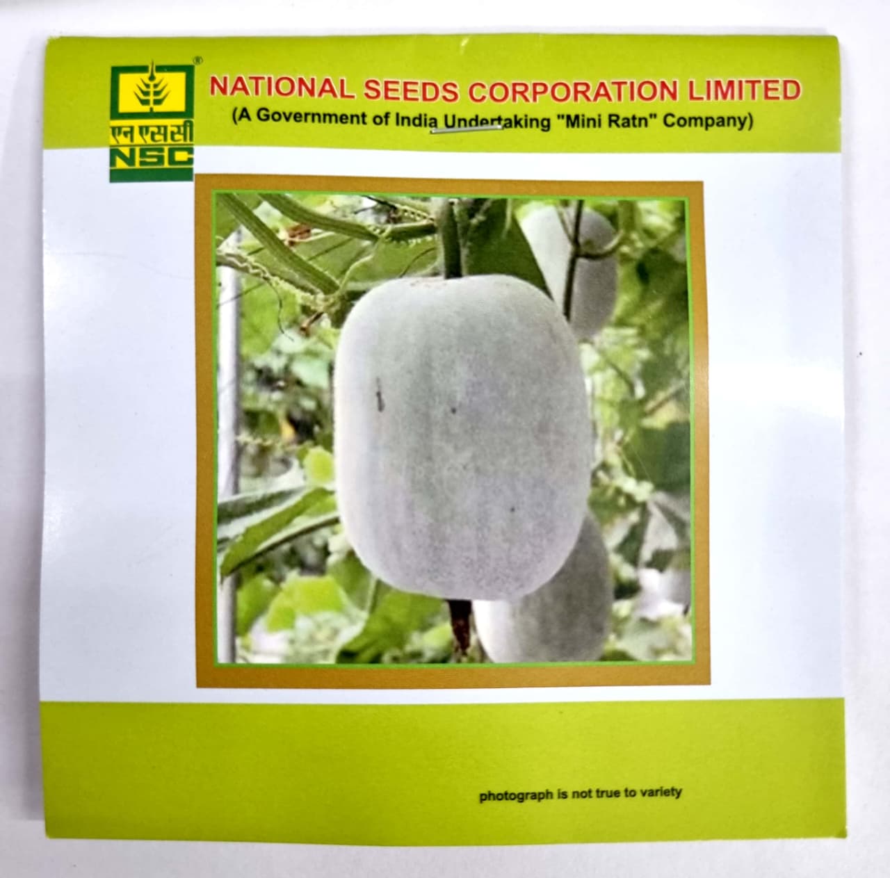 NSC Ash Gourd Seeds – Kashi Dhawal Variety | High-Quality Treated Seeds | 5 g Pouch