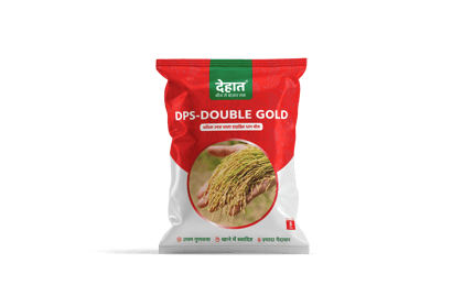DPS PADDY DOUBLE GOLD
