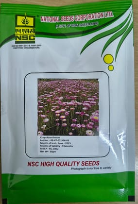 NSC Acroclinium flower seed, 10gm 