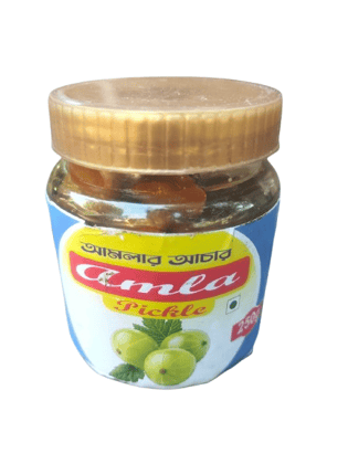 Amla Pickle - Traditional Indian Gooseberry Condiment (250g)