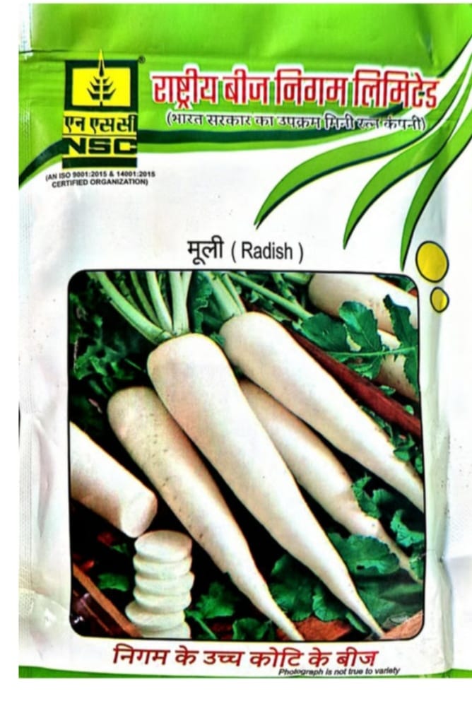 NSC Radish – J.W - 100 Gram Seeds