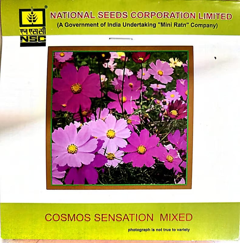 NSC Cosmos Sensation Mixed Flower Seed