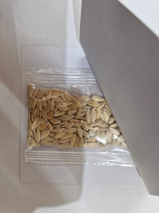NSC Musk Melon variety-PUSA KAJRI, 5gm of TL seed