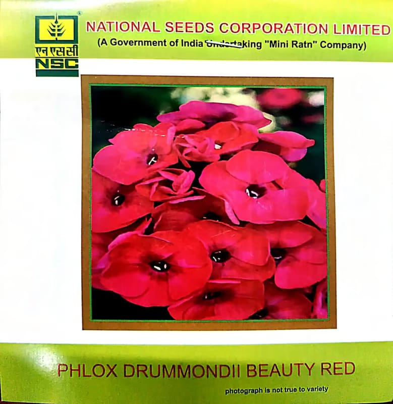 NSC Phlox Drummondii Beauty Red Flower Seed
